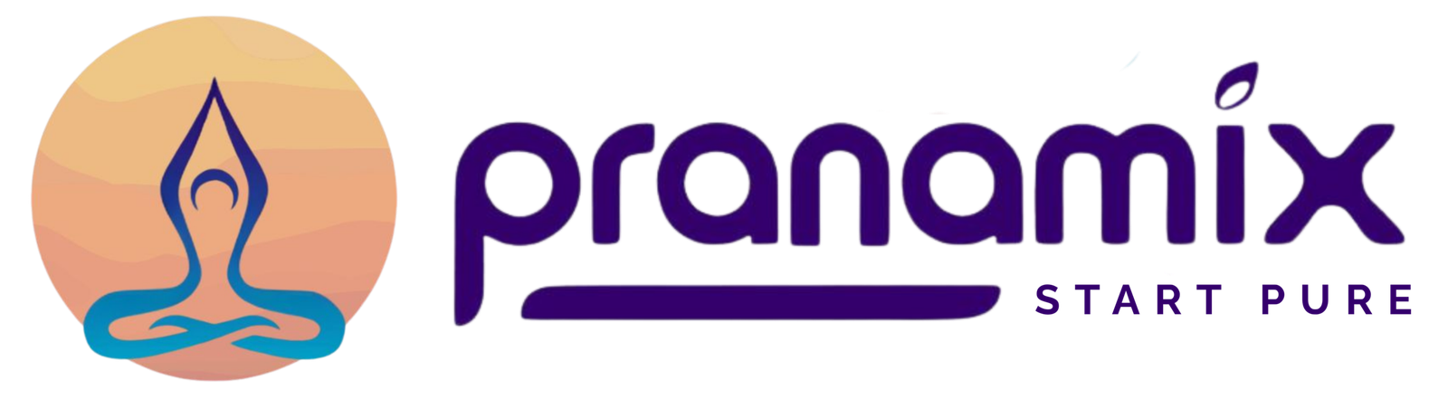 pranamix.com