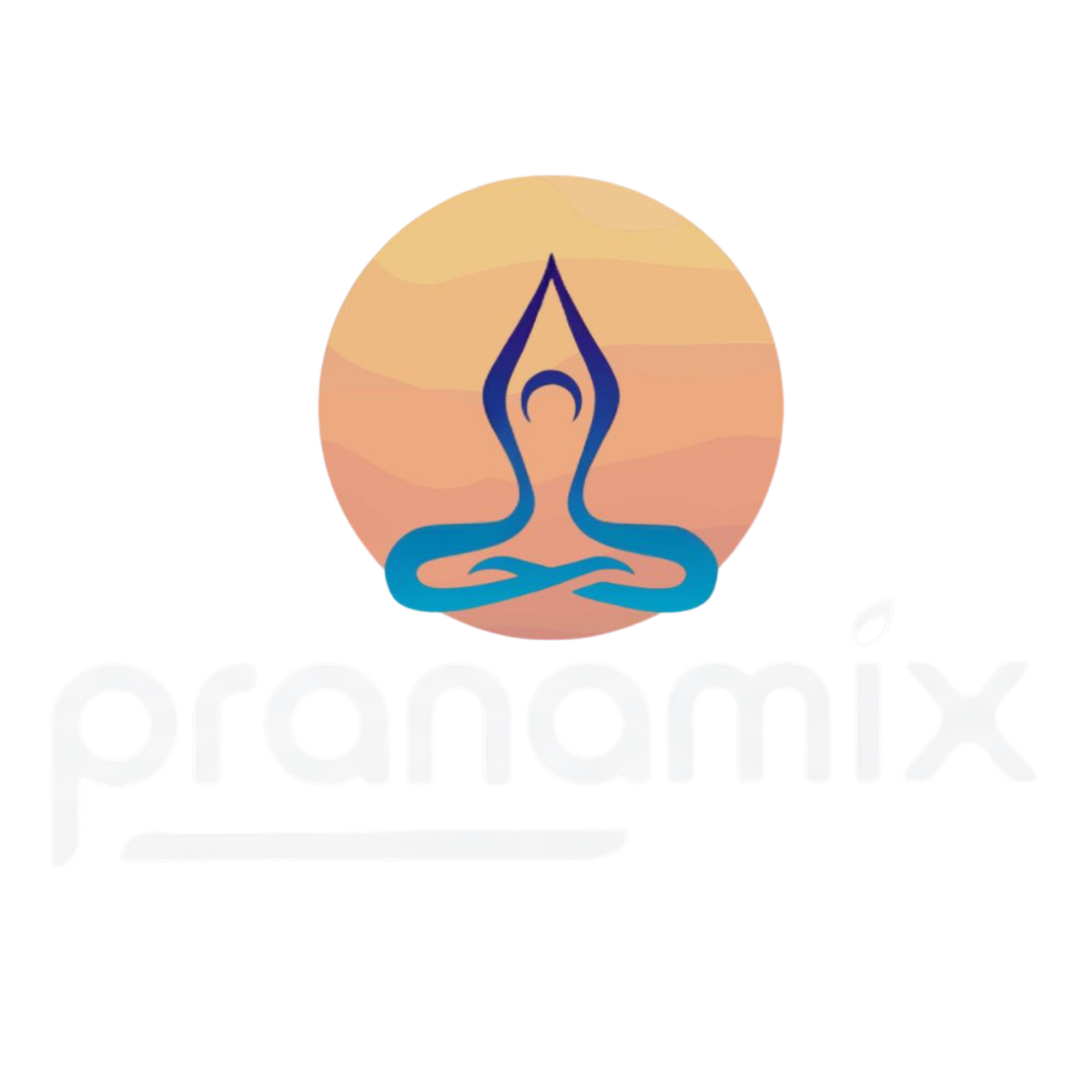 PranaMix